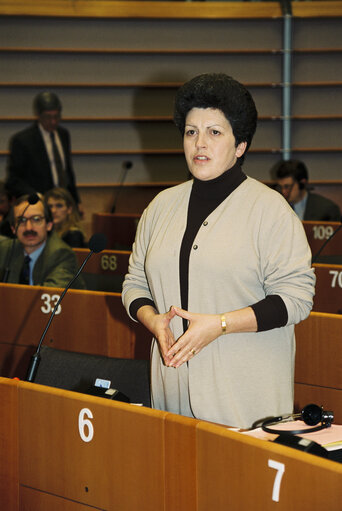 Plenary session in Brussels, december 1994