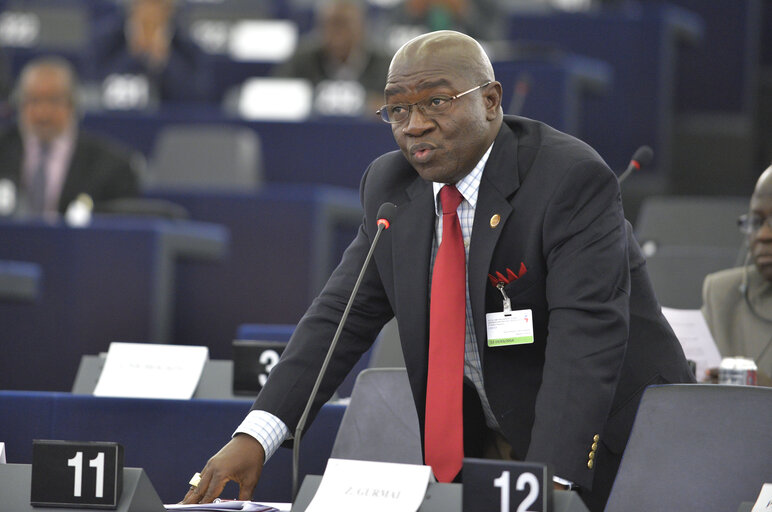 27th Session of the Joint Parliamentary Assembly ACP-UE - Votes