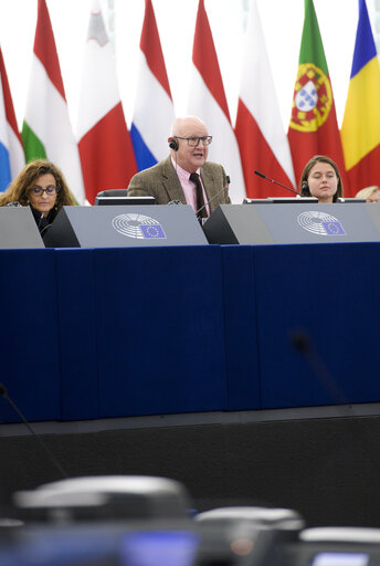 Plenary session week 43 2017 in Strasbourg - Discharge 2015: EU general budget - European Council and Council