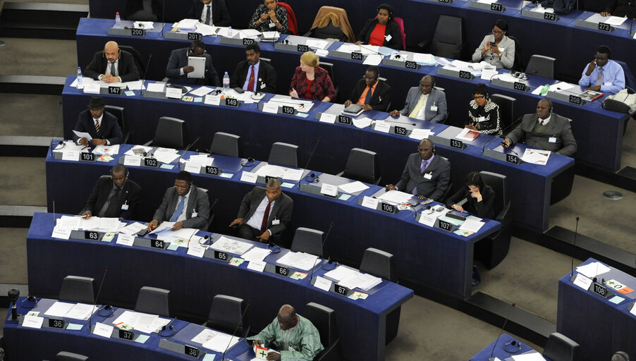 27th Session of the Joint Parliamentary Assembly ACP-UE - Votes