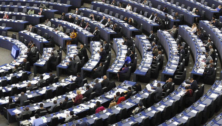 27th Session of the Joint Parliamentary Assembly ACP-UE - Votes