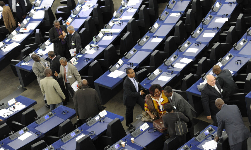 27th Session of the Joint Parliamentary Assembly ACP-UE - Votes