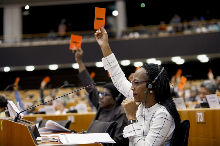 35th session of the ACP-EU Joint Parliamentary Assembly. Sitting of the JPA