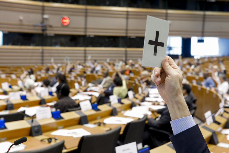 35th session of the ACP-EU Joint Parliamentary Assembly. Sitting of the JPA