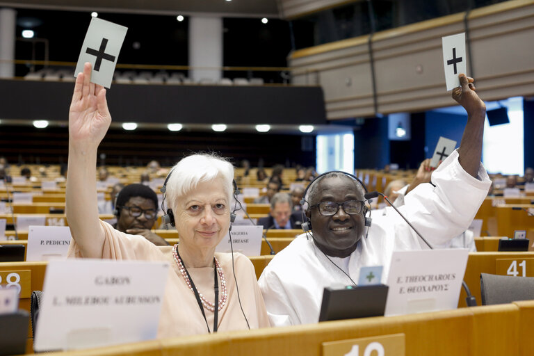 35th session of the ACP-EU Joint Parliamentary Assembly. Sitting of the JPA