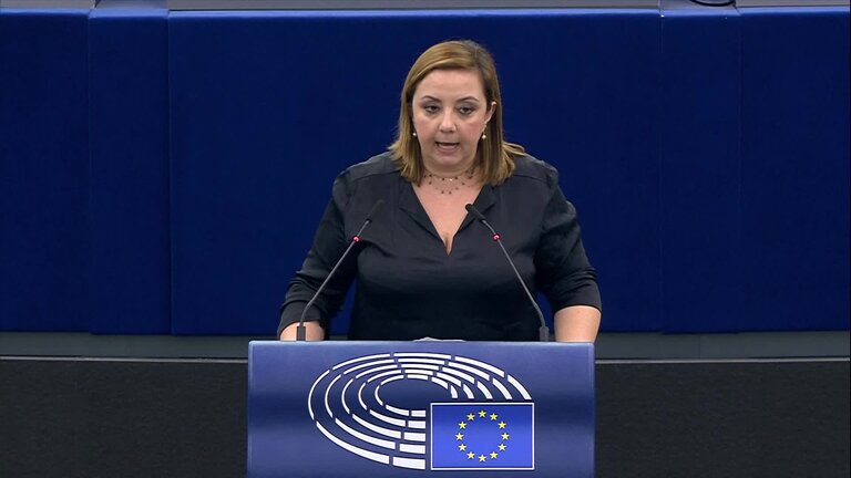 Joint debate - EU accession to the Istanbul Convention on violence against women: MEPs debate (part 2)