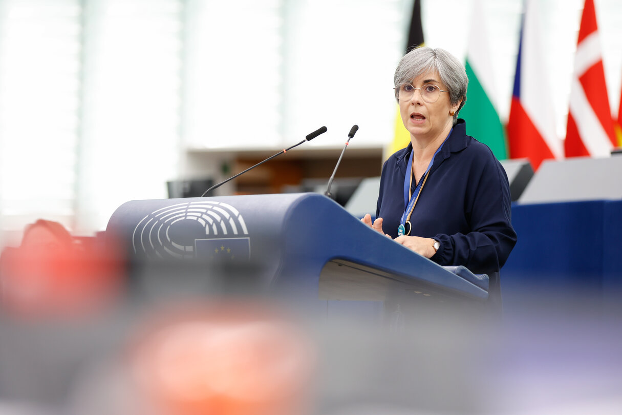 EP Plenary session - Report on Albania