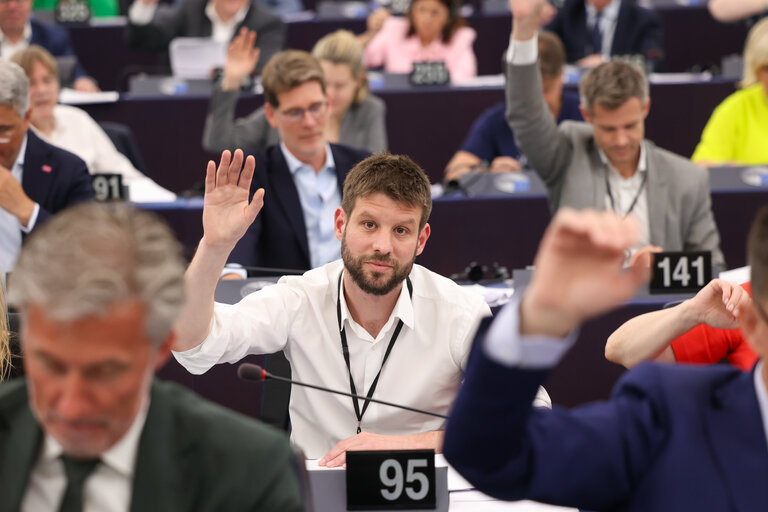 EP Plenary session - Voting session