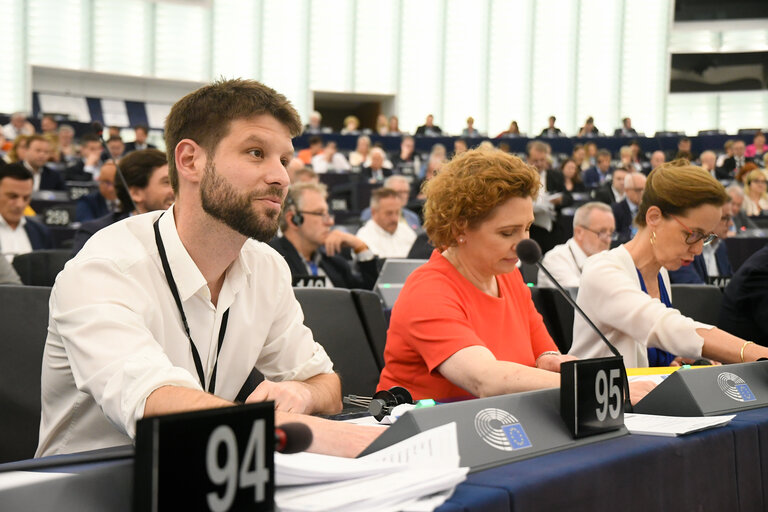 EP Plenary session - Voting session