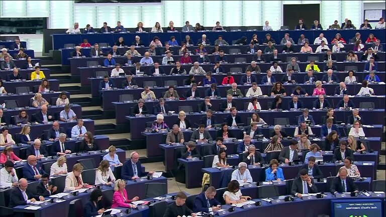 Voting session, including the European Media Freedom Act