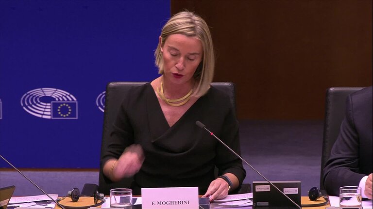 70th Anniversary of the Universal Declaration of Human Rights: opening statement by Federica MOGHERINI, High Representative of the Union for Foreign Affairs and Security Policy and Vice-President of the EC