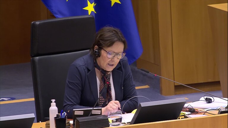 Joint debate on 2019-2020 progress reports on Albania, Kosovo, North Macedonia and Serbia: opening statements by Isabel SANTOS (S&D, PT), Viola VON CRAMON-TAUBADEL (Greens/EFA, DE), Ilhan KYUCHYUK (Renew, BG) and Vladimír BILČÍK (EPP, SK)