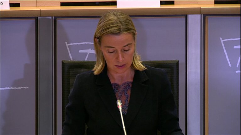 Hearing of Federica MOGHERINI (Italy), High Representative-designate of the Union for Foreign Affairs and Security Policy/Vice- President designate: extracts from the statement by Federica MOGHERINI