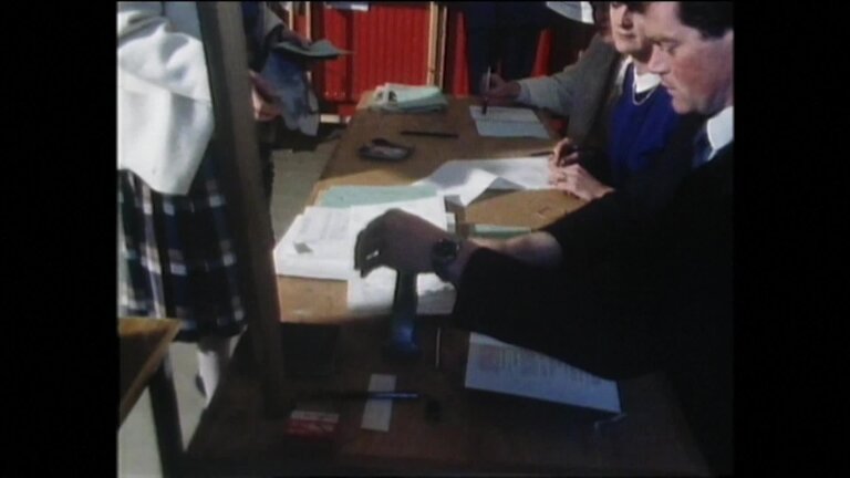 Memoclip: European Elections 1984 in Ireland