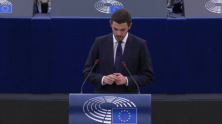 Ensuring sustainable, decent and affordable housing in Europe - encouraging investment, private property and public housing programmes: MEPs debate (part 2)