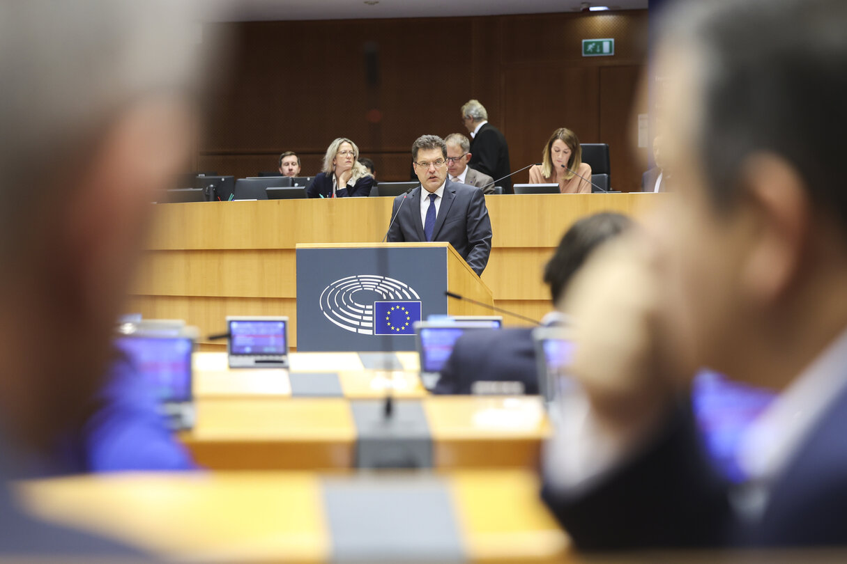 EP Plenary session - The devastating floods in Spain, the urgent need to support the victims, to improve preparedness and to fight the climate crisis