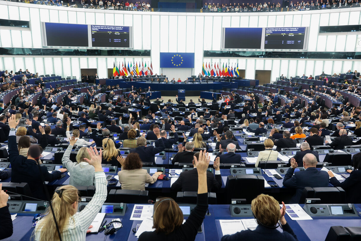 EP Plenary session - Voting session