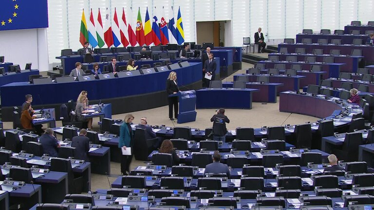 Toppling of the Syrian regime, its geopolitical implications and the humanitarian situation in the region: MEPs Debate (part 3)