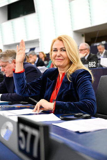 EP Plenary session - Voting session