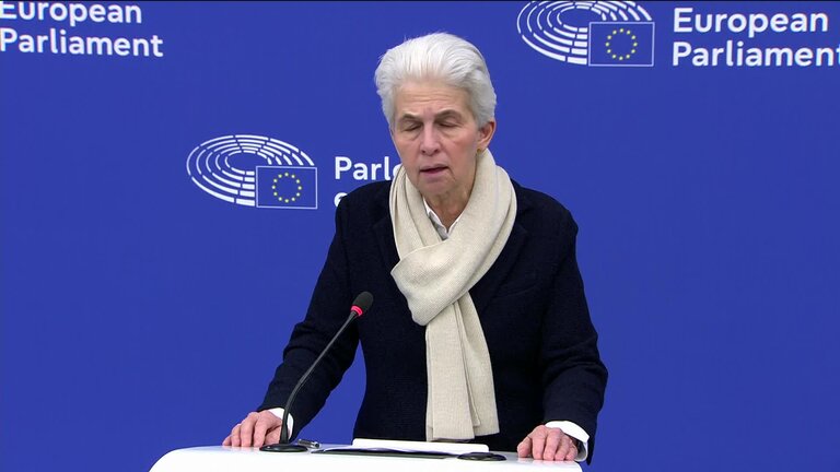 Press conference by Marie-Agnes STRACK-ZIMMERMAN (Renew, DE), Chair of SEDE Subcommittee, on setting up a Standing Committee on Security and Defence