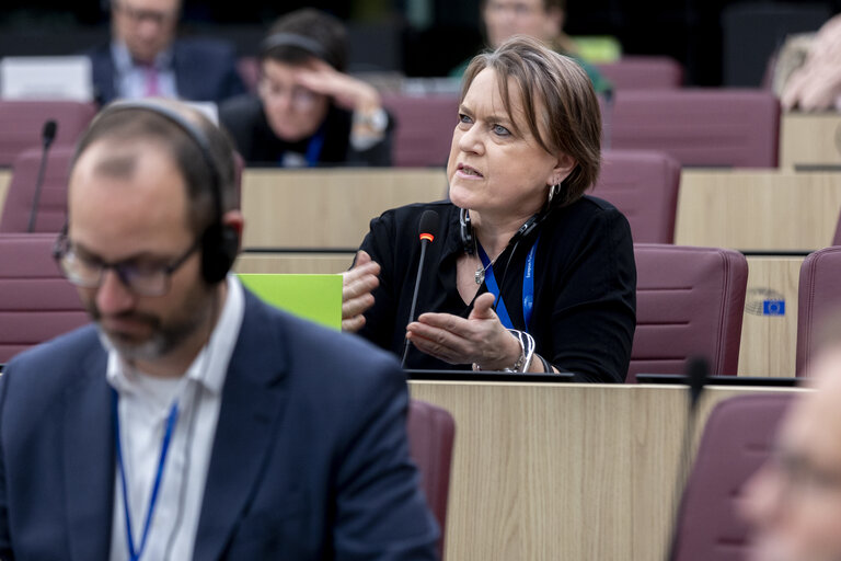 Foto 2: OACPS-EU Joint Parliamentary Assembly