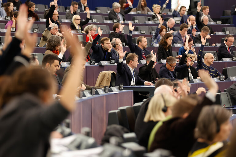 Foto 6: EP Plenary session - Voting session