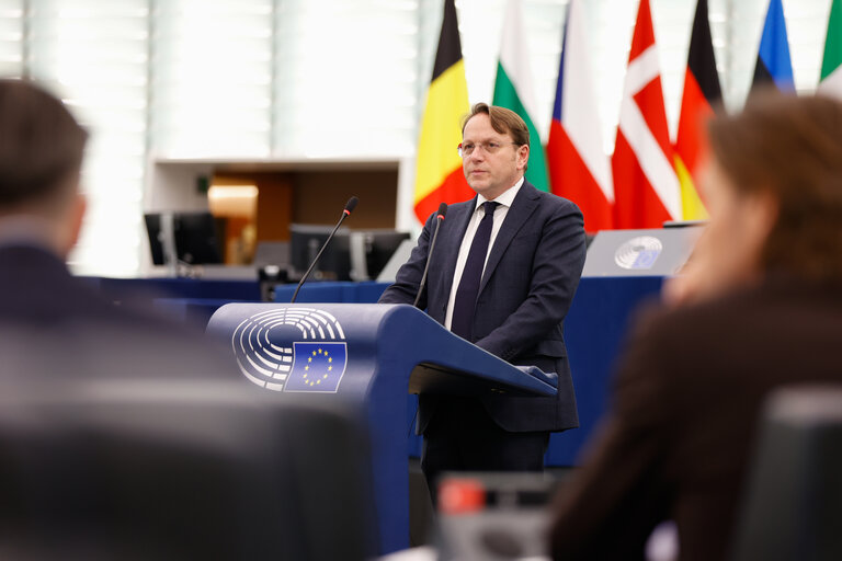 Foto 19: EP Plenary session - Commission’s plans to include the revision of the outstanding proposals on animal welfare in its work plan for 2025