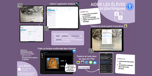 Image représentant l'infographie sur l'accessibilité pour les élèves bi/plurilingues.