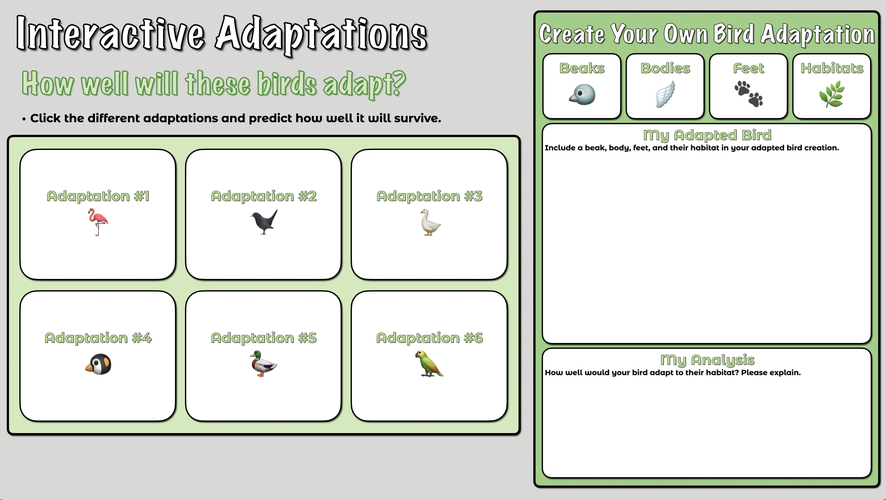 Interactive Adaptation Activity