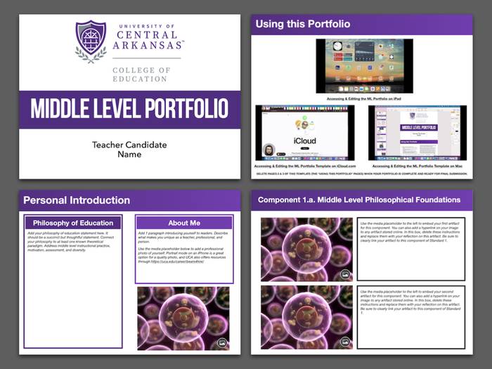 A series of slides for a Middle Level Portfolio from the University of Central Arkansas College of Education