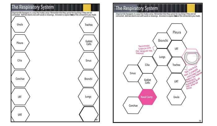 Digital version example of hexagon assignment