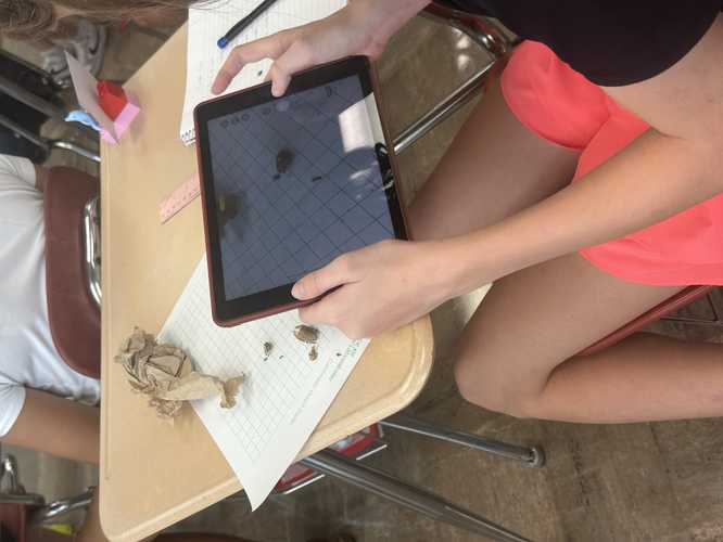 Student taking a photo of a cicada shell with their iPad.