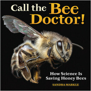 Cover: Call the Bee Doctor!: How Science Is Saving Honey Bees