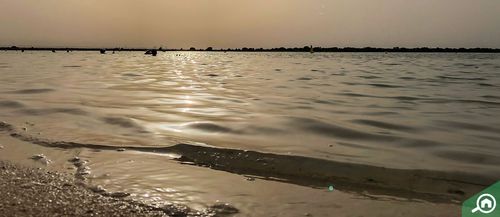 Water's Edge, Yas Island