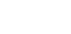 NetApp logo