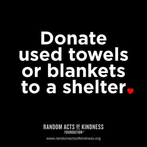 Donate used towels or blankets to a shelter.