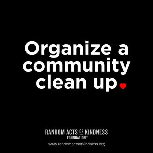 Organize a community clean up.