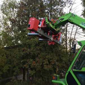 Lamier pour haie