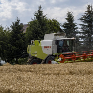 Moissonneuse-batteuse Lexion 630