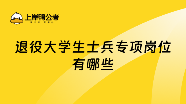 退役大学生士兵专项岗位有哪些