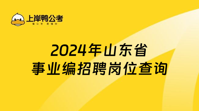 2024年山东省事业编招聘岗位查询