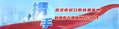 携手 武汉市对口帮扶恩施州 杭州市与恩施州对口合作