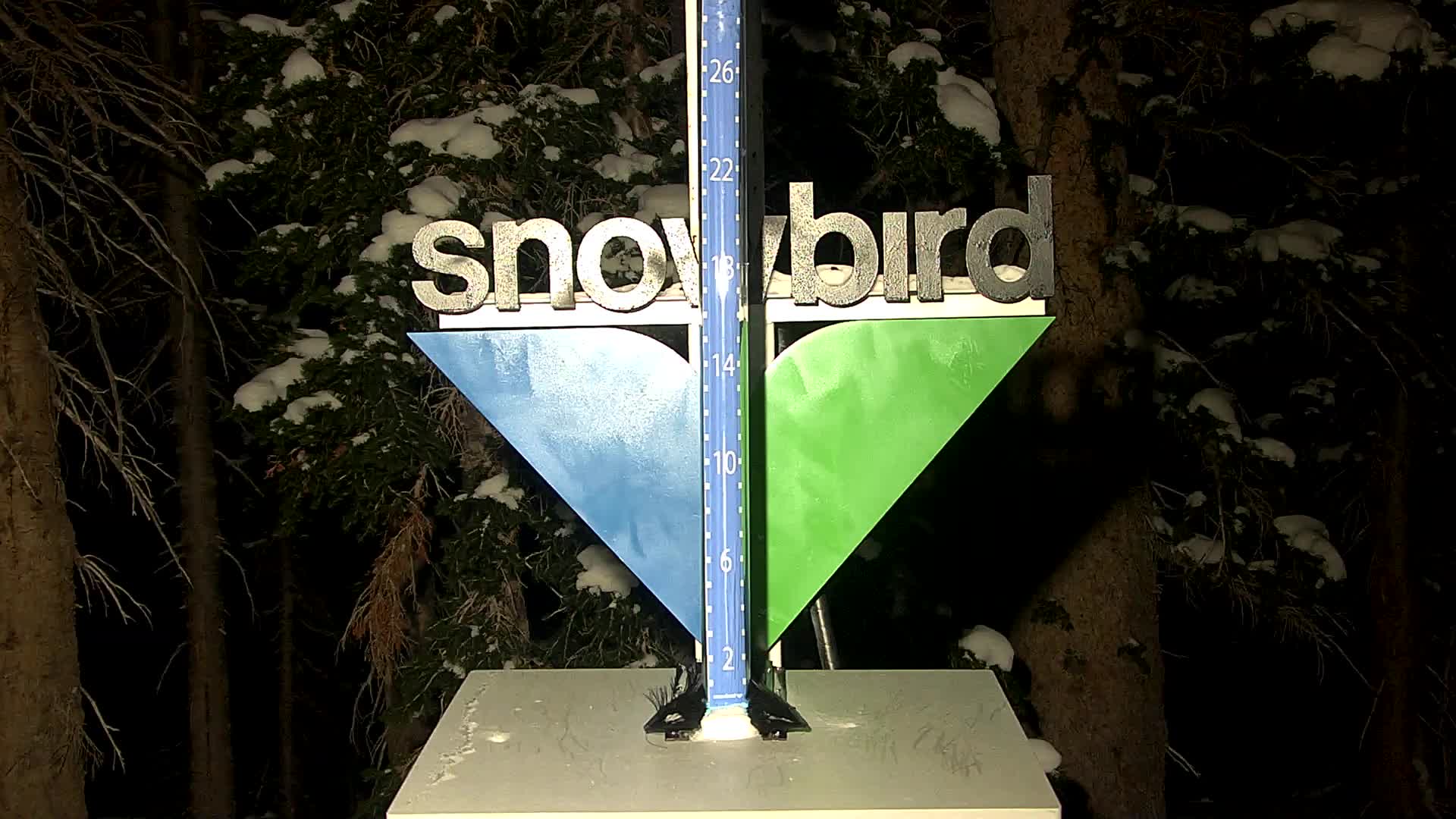 Snow Stake