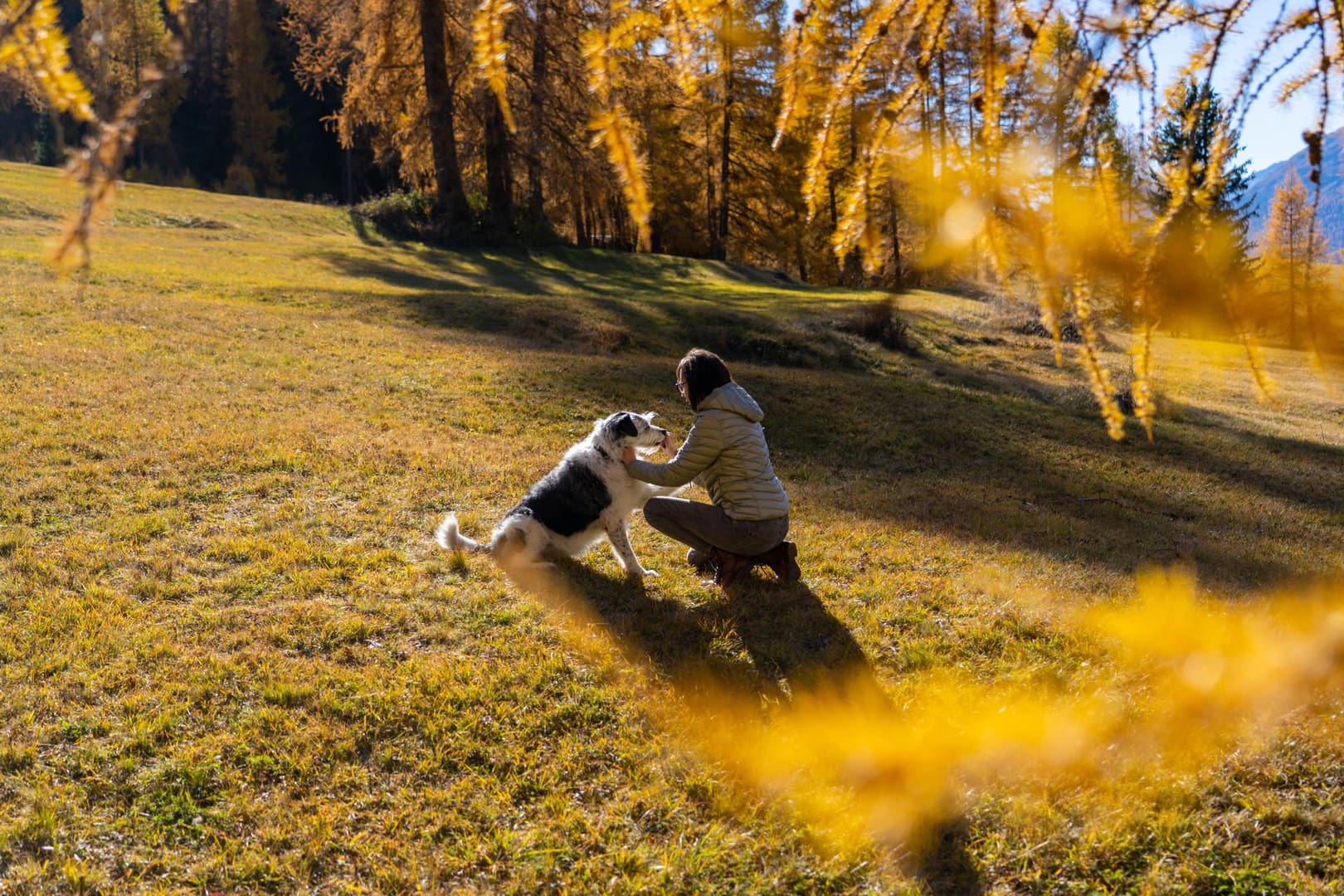 Therapie mit Tier und Mensch - Bewusst Wachsen