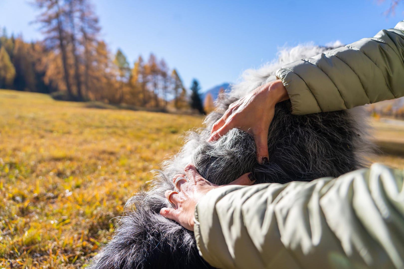 Tiergenetik Schweiz von Bewusst Wachsen