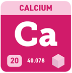 A square showing calcium’s symbol (Ca), atomic number (20), and atomic weight (40.078).