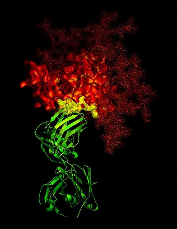 Many green squiggles and lines connected to a small yellow splotch on a larger red misshapen bundle.