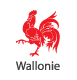 Logo de la Wallonie : Lien vers le portail wallonie.be