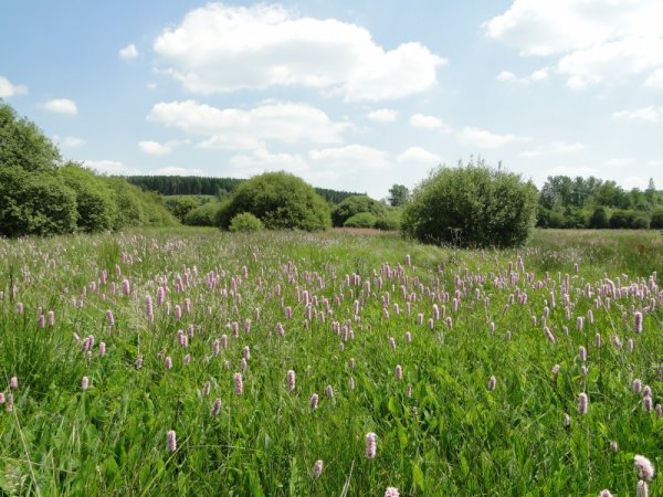 Haute vallée de la Vierre