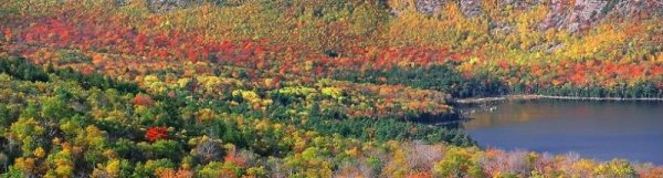 Représentation de la variabilité de la biodiversite